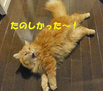 満足しましたか。良かったね。粗相しないでね。