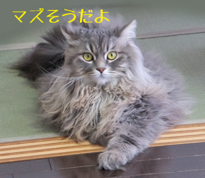 そんなー