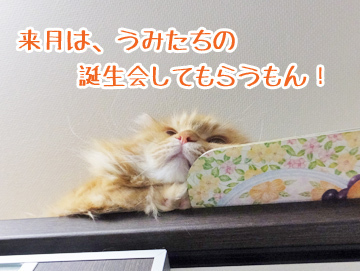 はい、分かりました(笑)