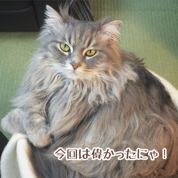 あおくんもビックリ