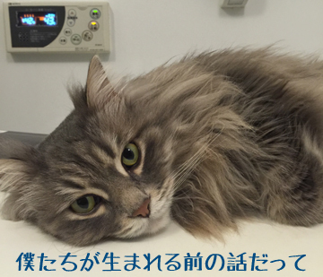 この年の秋にうまれたね