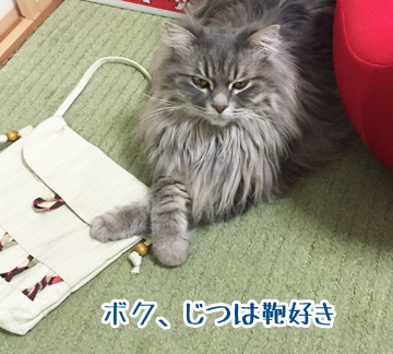 鞄かばん