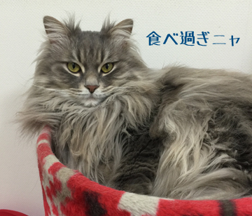 はーい^^;