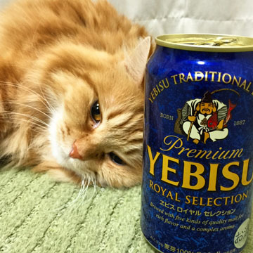 飲みまくり〜