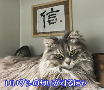 奄美のあじー?