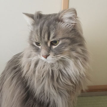 ちぇーーー