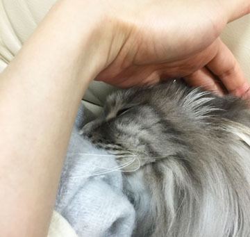至福の時