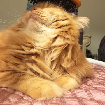 もっとー!