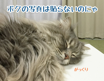 あら