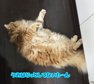 そのとおりねw