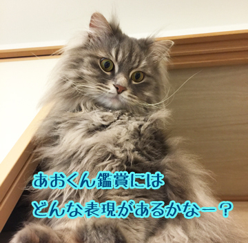 素直に見るだけでOK!
