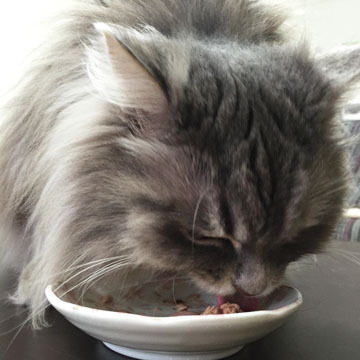 美味しい美味しい