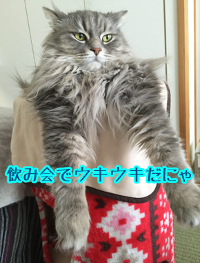 そうなの