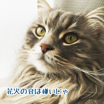 あおくんです