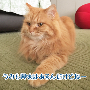 いやです