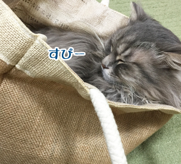 うーむ