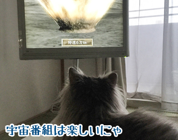 月のオハナシ