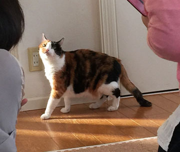 こんにちは