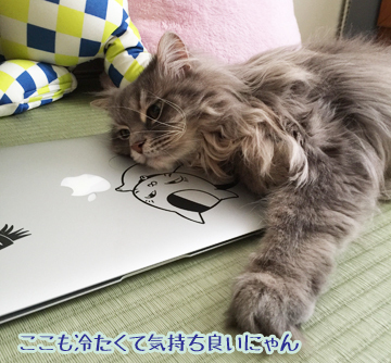 あおくん、マックで寝るの図