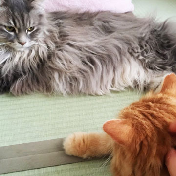 どきどきね