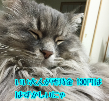 お恥ずかしい