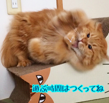 はい、がんばります