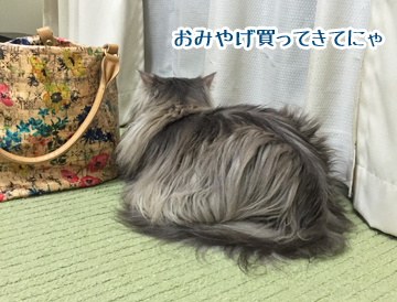 ちゃっかりしてるよ