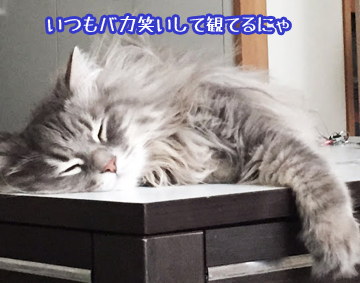 あおくん