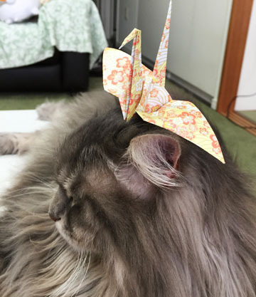 いえーい