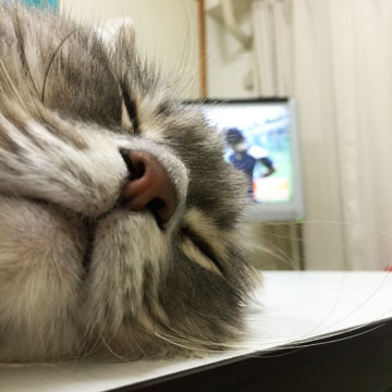 鼻の穴〜