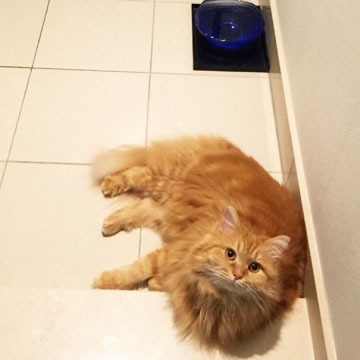 のびのびだもんね