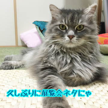 あおくん