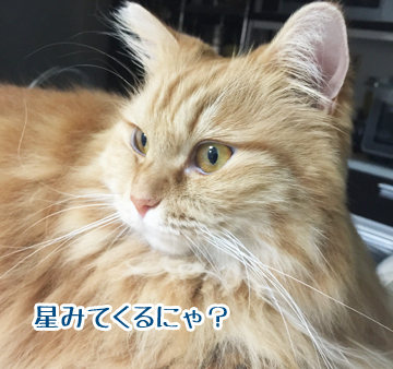 そうなのよぉ