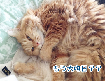 うみちゃんですよー
