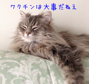 ほんとだねえ