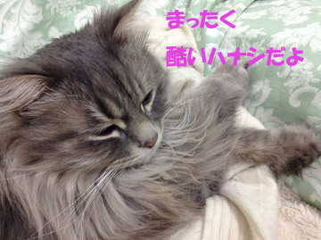 ごめんねw
