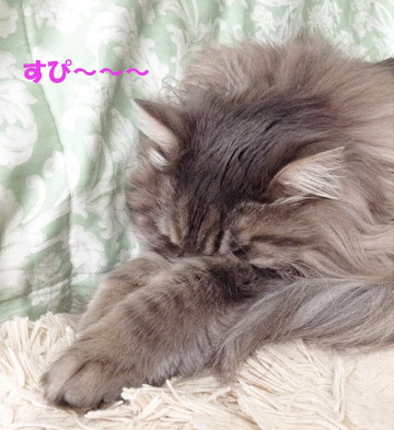 しめしめ