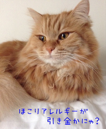そうかもね^^;