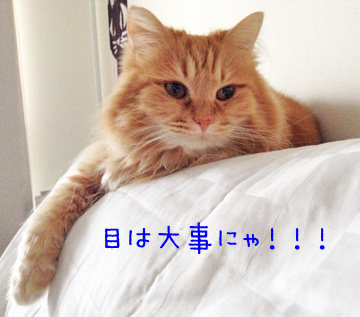 本読みたいもんね