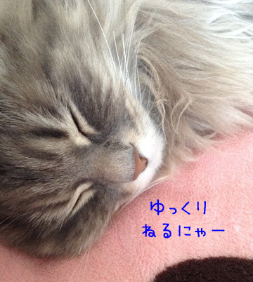 寝かせてくれないじゃーん!