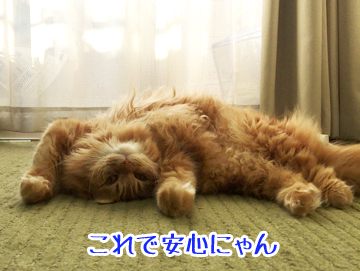 うみのへそ天
