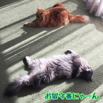 ごろごろ