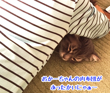 ぐーすかぴー