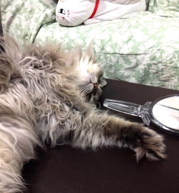 うぬぼれ侍