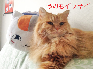 ツーショット