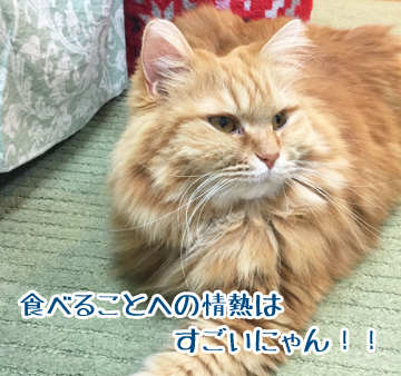 すみませんねえw