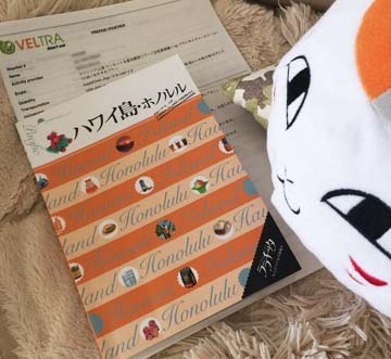 ニャンコ先生