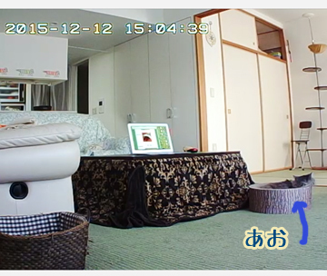 家ですー