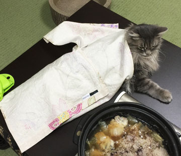 なんで動かないかなあ〜