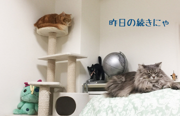 そーよー